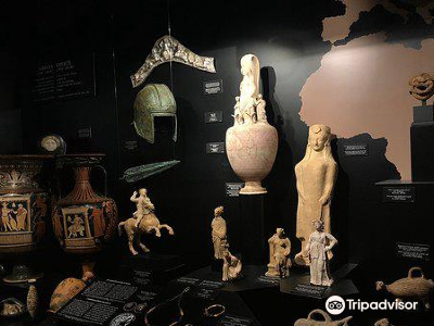 Ifergan Collection