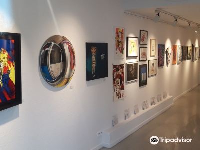 Montana Gallery