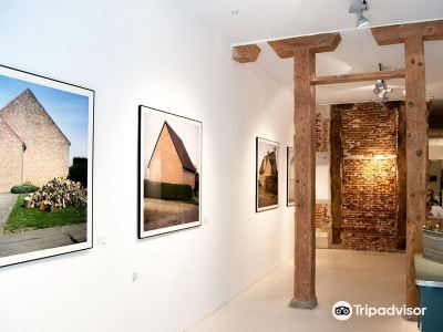 Galeria 6mas1
