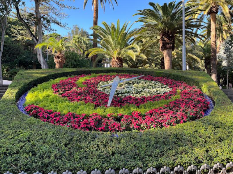 Reloj de flores