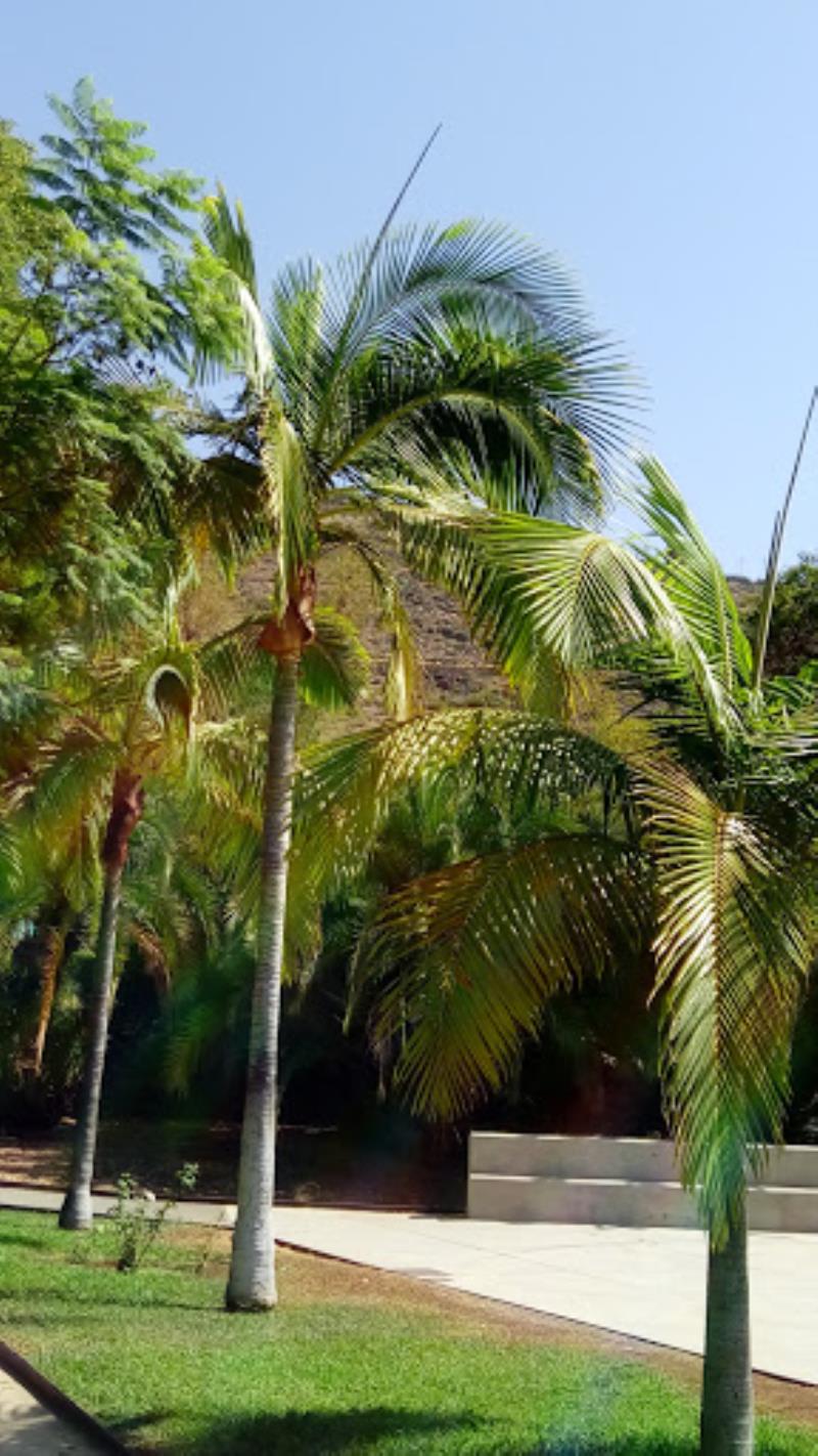 Parque Secundino Delgado