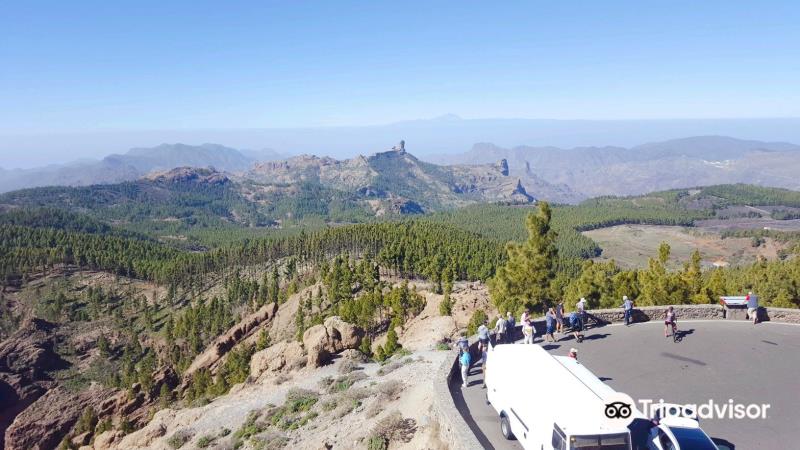 Mirador del Pico de los Pozos de las Nieves