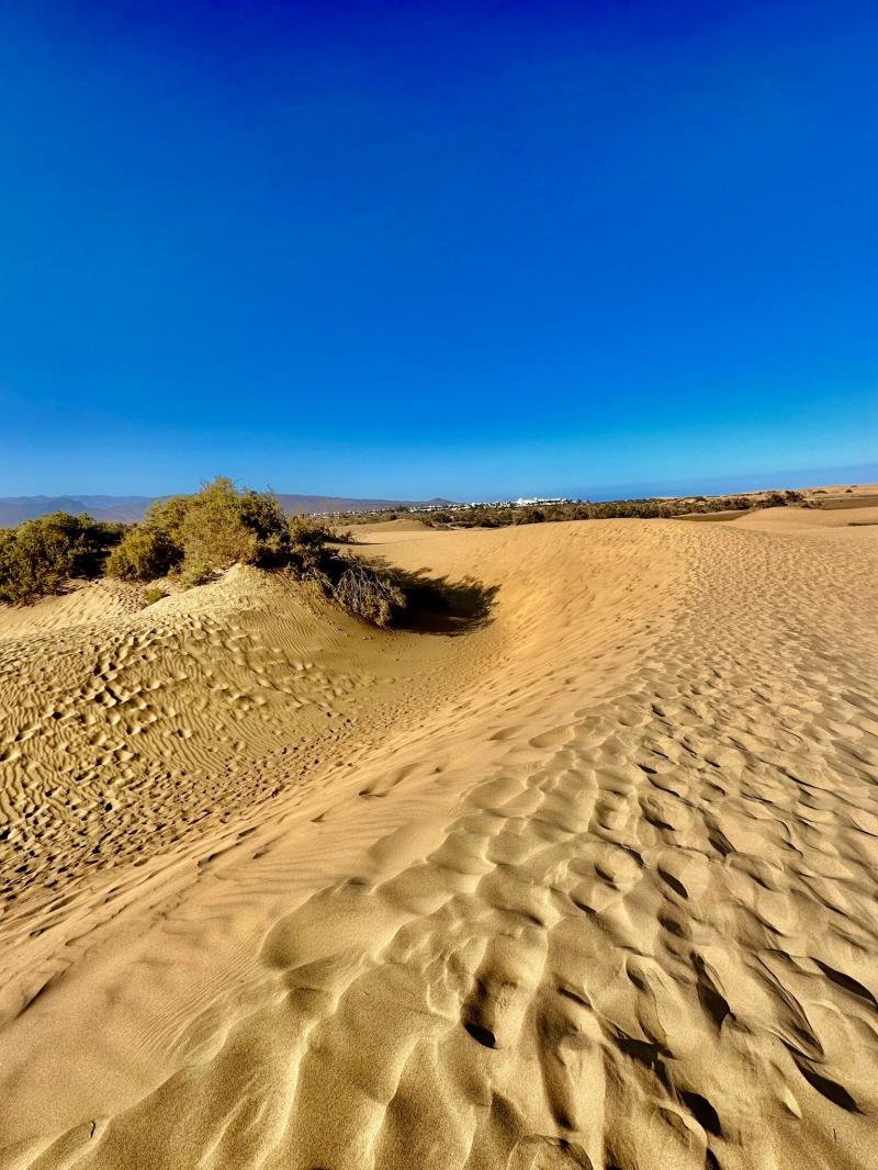 Reserva Natural Especial de Las Dunas de Maspalomas