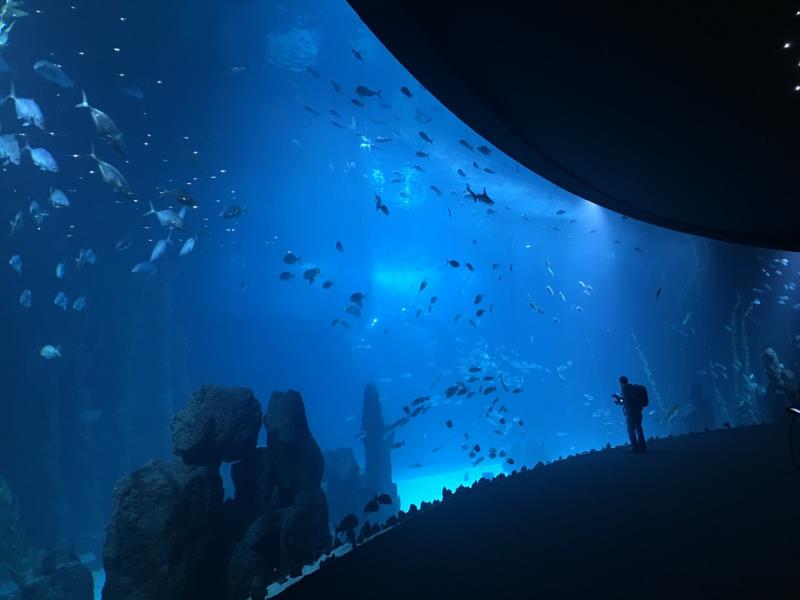 海诗水族馆