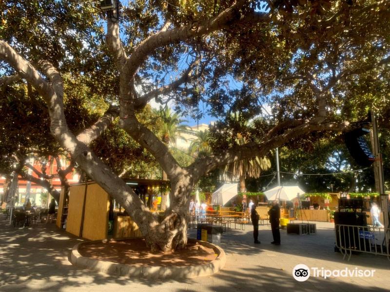 Parque de San Telmo