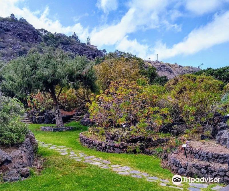 Jardin Botanico Viera & Clavijo