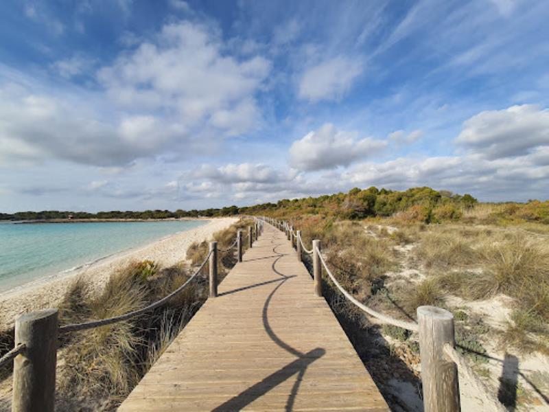 Playas de Son Saura