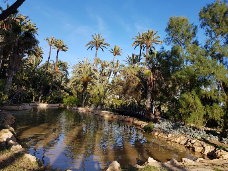 Parque El Palmeral