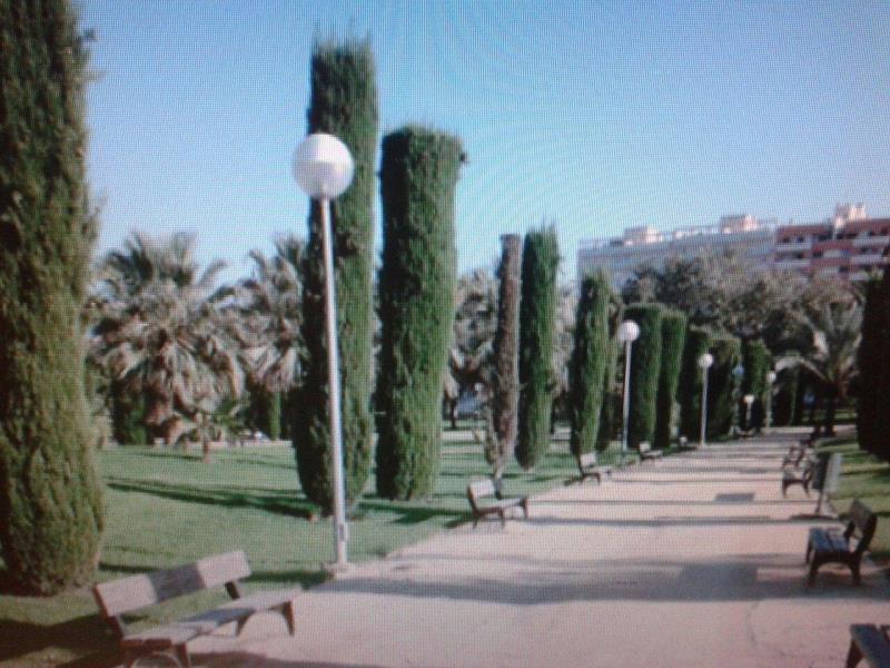 Parque Lo Morant