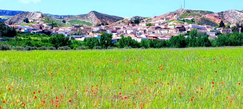 Alamedilla