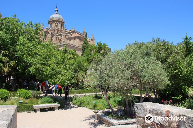 Huerto De Calixto & Melibea