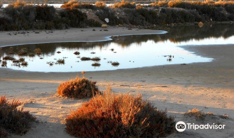 Parque Regional Salinas