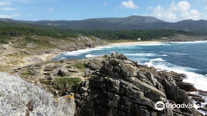 Castro de Barona