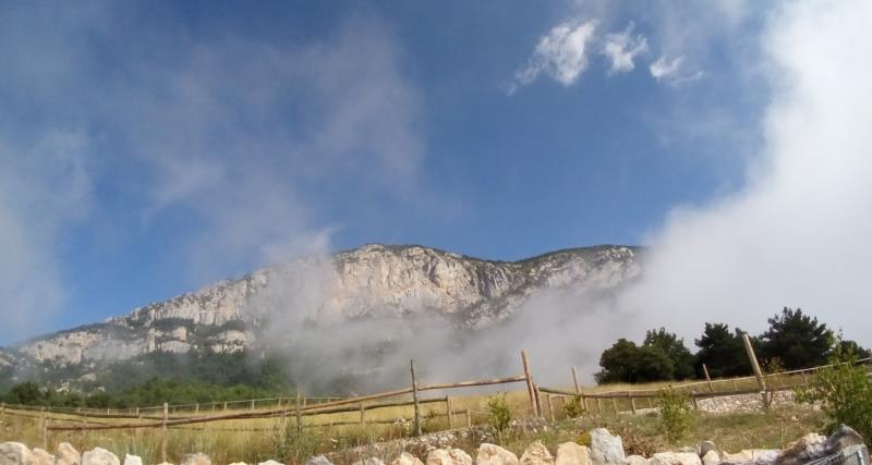 Zoo del Pirineu
