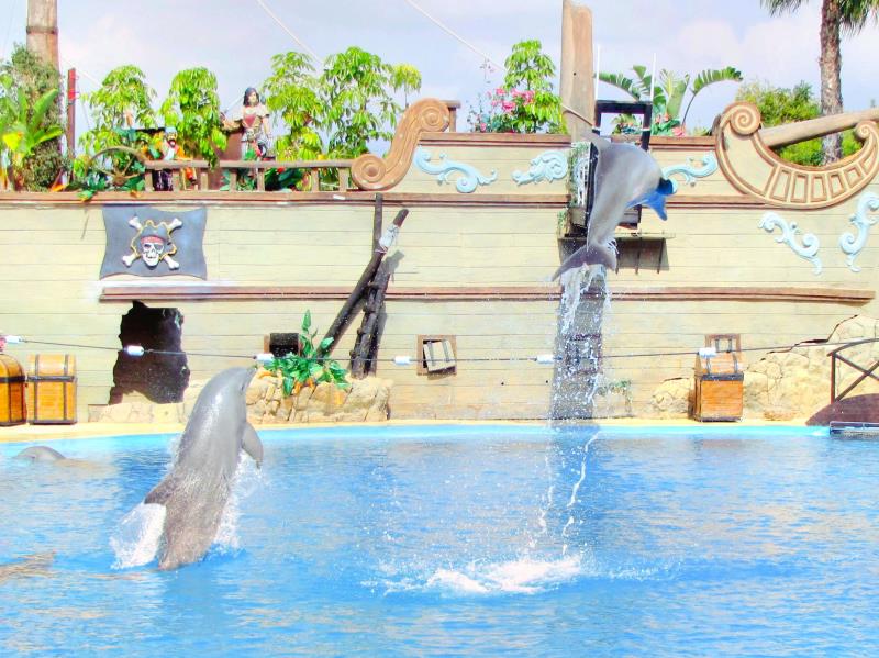 海洋世界水族馆