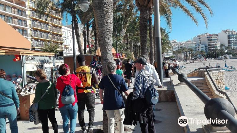 Parque de Elche