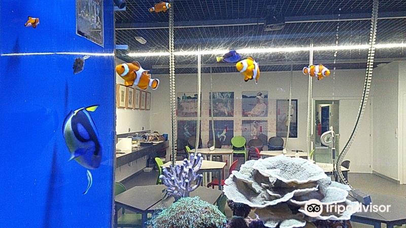 菲尼斯特拉埃水族馆