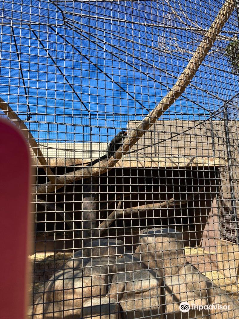 Monkey Park