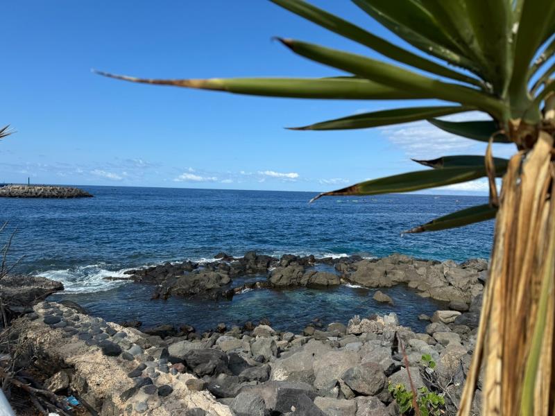 Playa de Torviscas