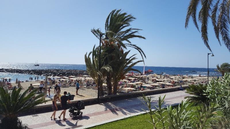 Playa del Camison