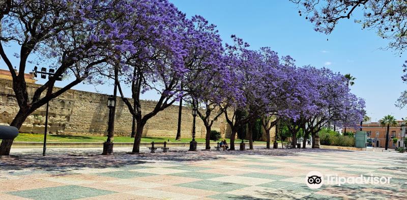 Alameda Vieja
