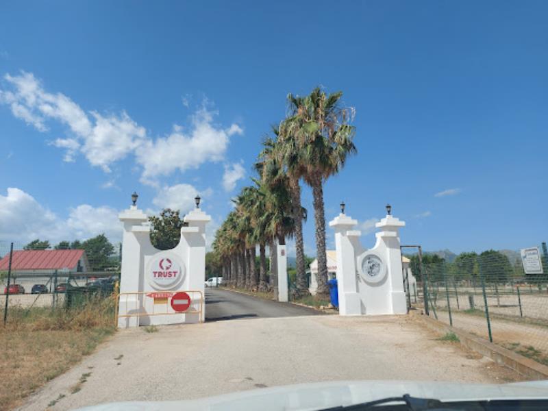Trust resort canino