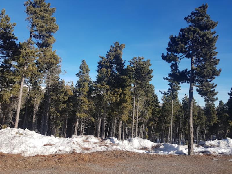 Estació d'esquí nordic Guils-Fontanera