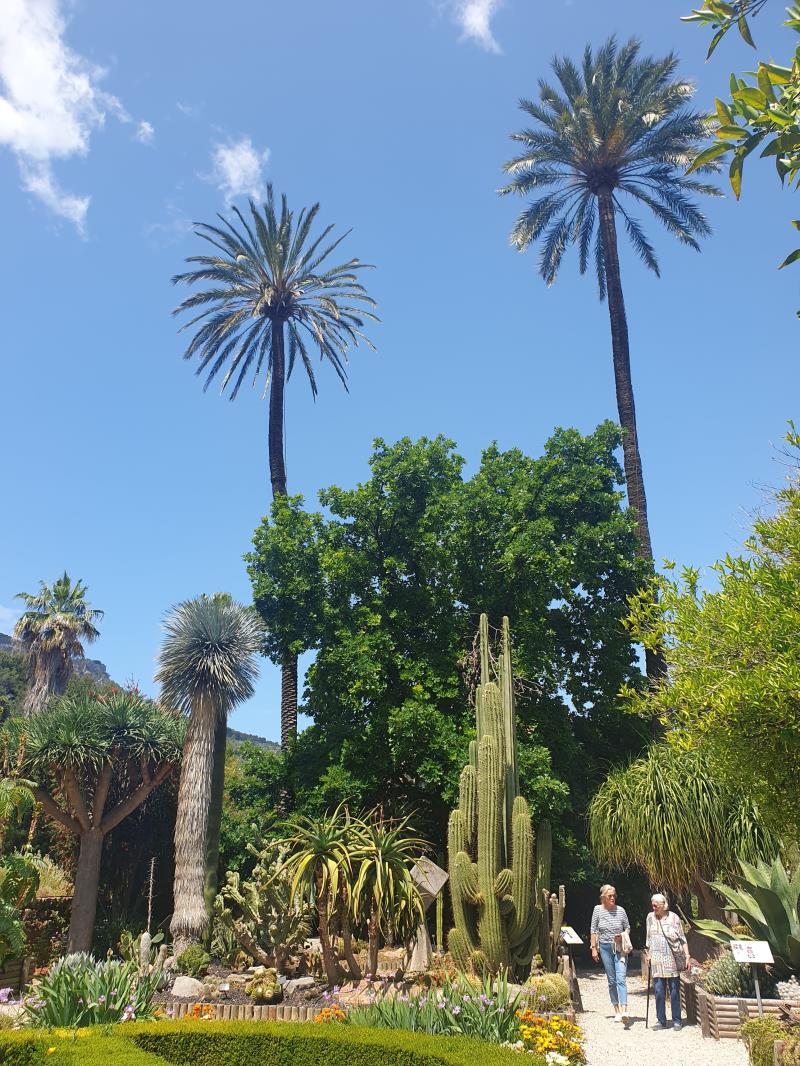 Jardi Botanic de Soller
