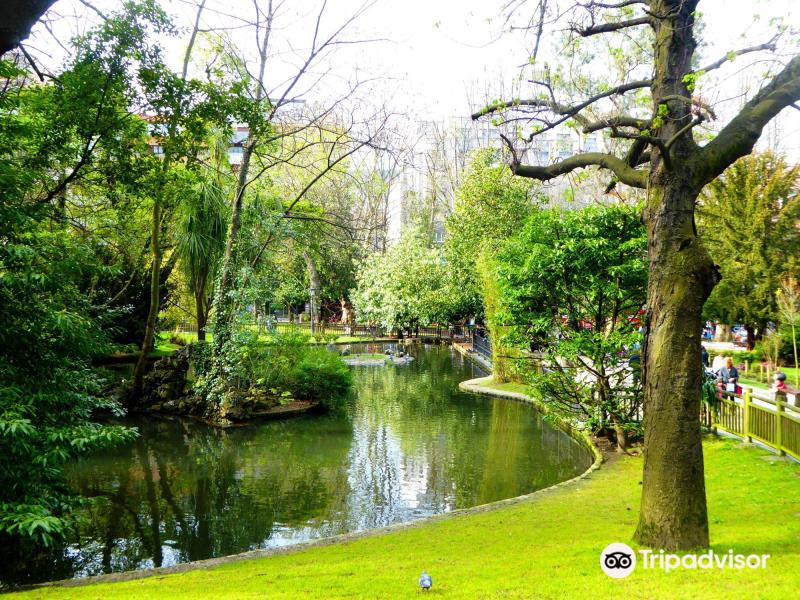 Campo de San Francisco