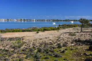 Can Marroig