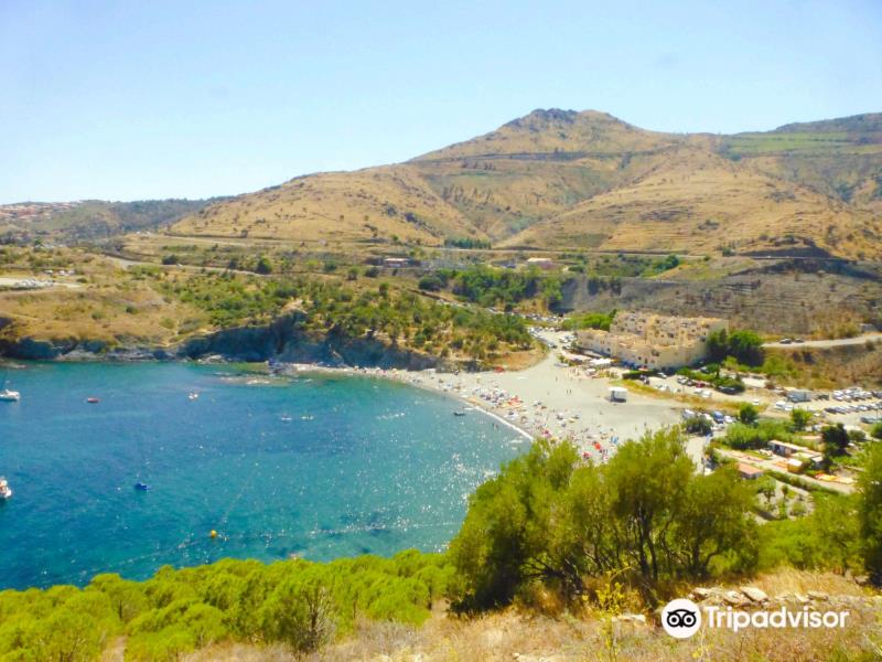 Le Sentier Sous-Marin de Cerbère-Banyuls