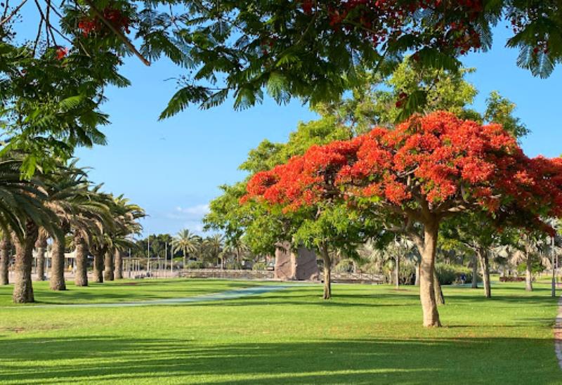 Parque del Sur