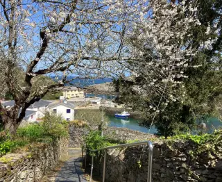 Puerto de Viavelez