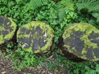 Cuevas de Andina