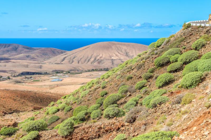 Mirador del Risco de Las Peñas