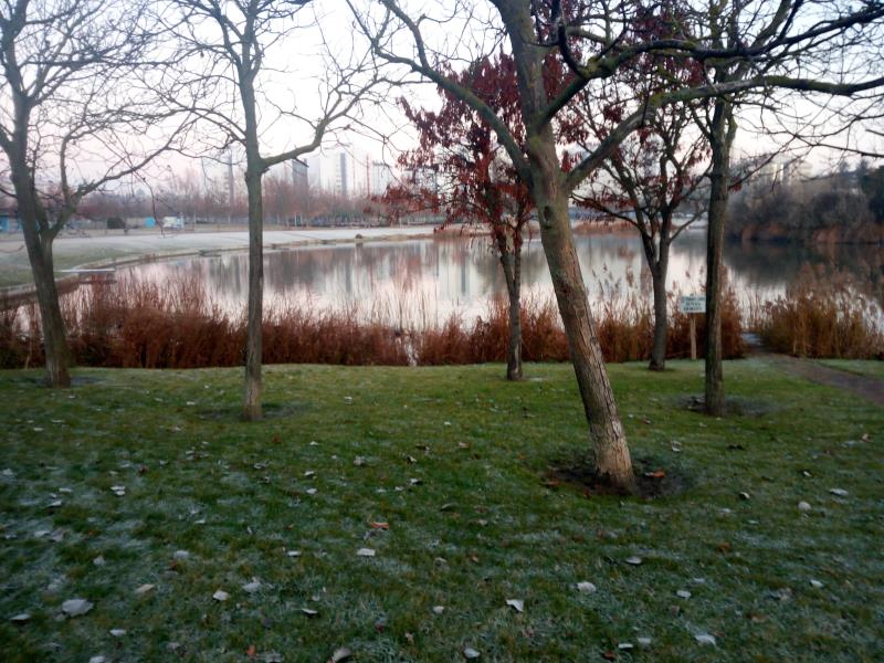 Entorno del Lago
