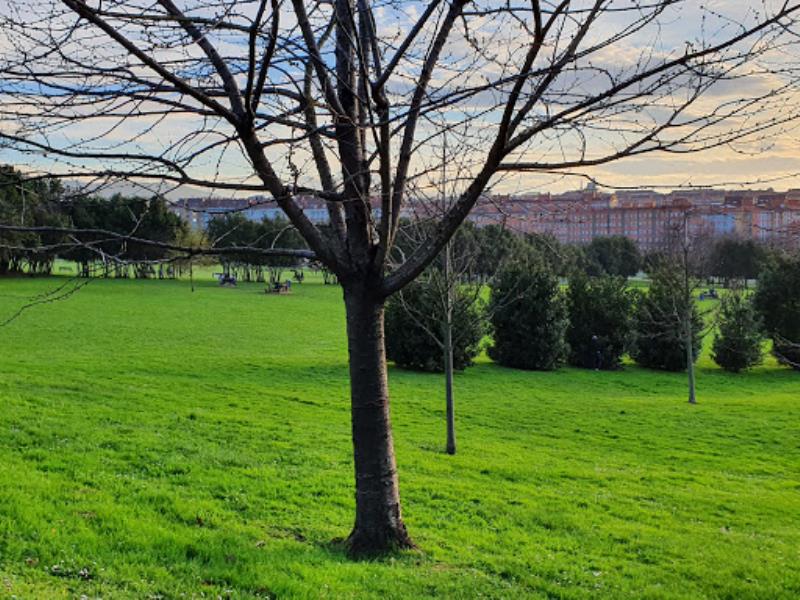 Parque de los Pericones