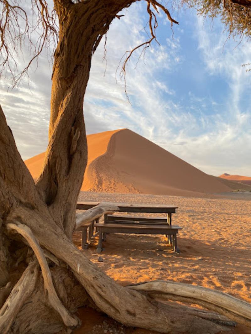 Dunes Viewpoint