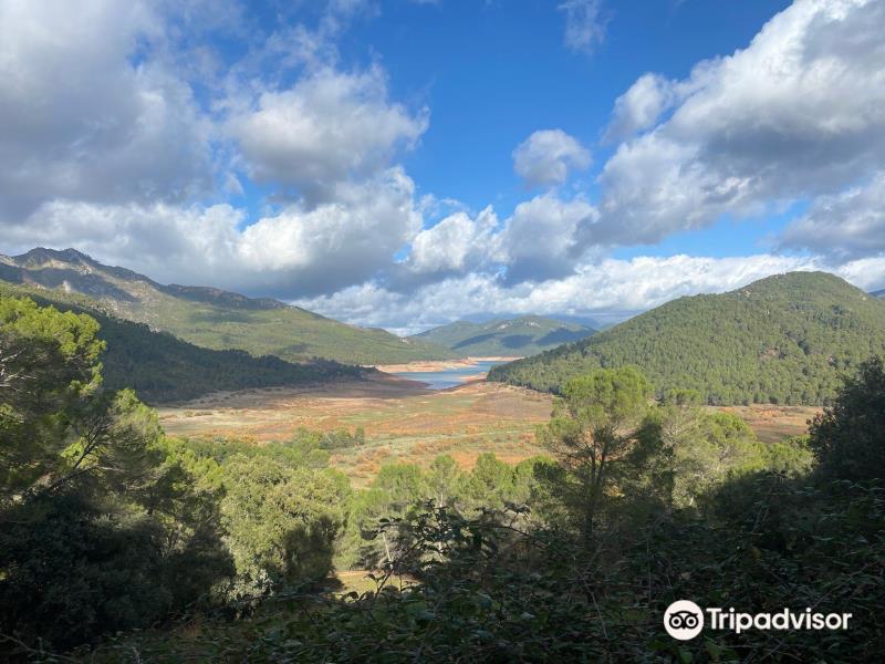 Parque Cinegetico Collado del Almendral