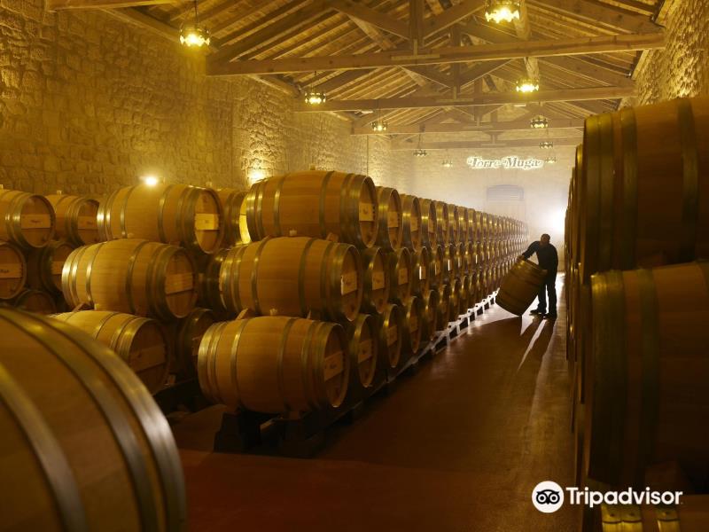 Bodegas Muga