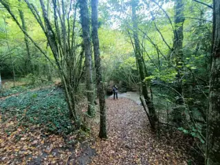 Ruta del agua - Berganzo