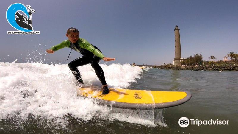 Surf Company