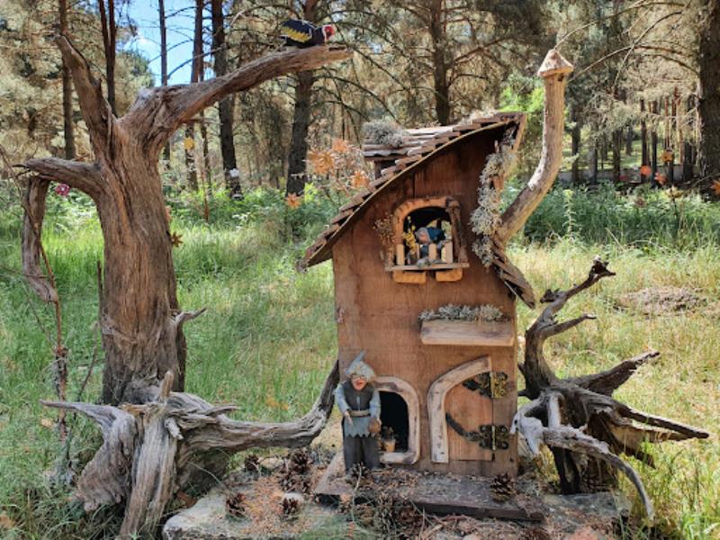 Bosque Mágico de la Fuente del Pino