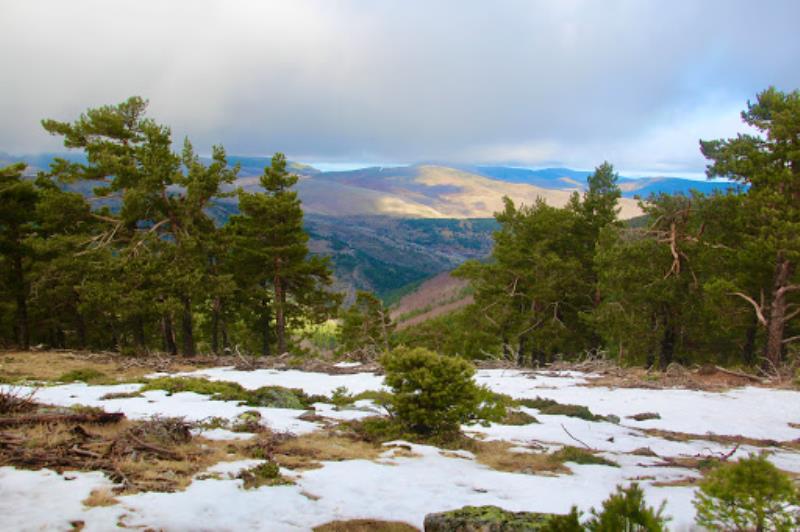 Snow Point Santa Inés