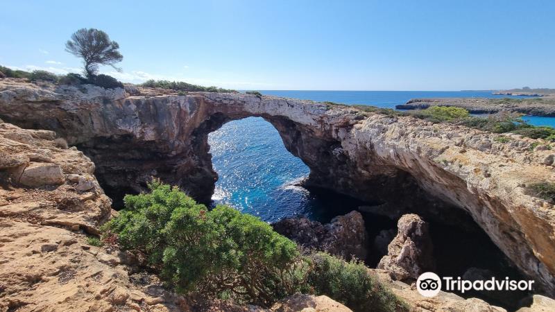 Es Pontàs