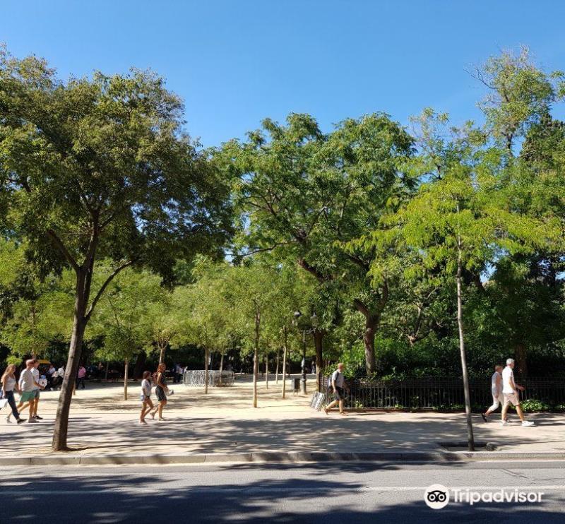 Parque Turo