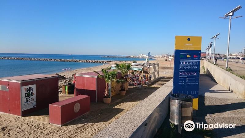 Playa de Llevant