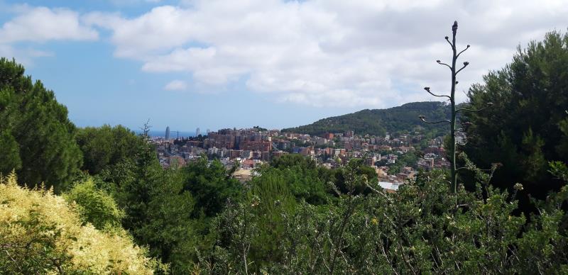 Parc Del Turo De La Peira