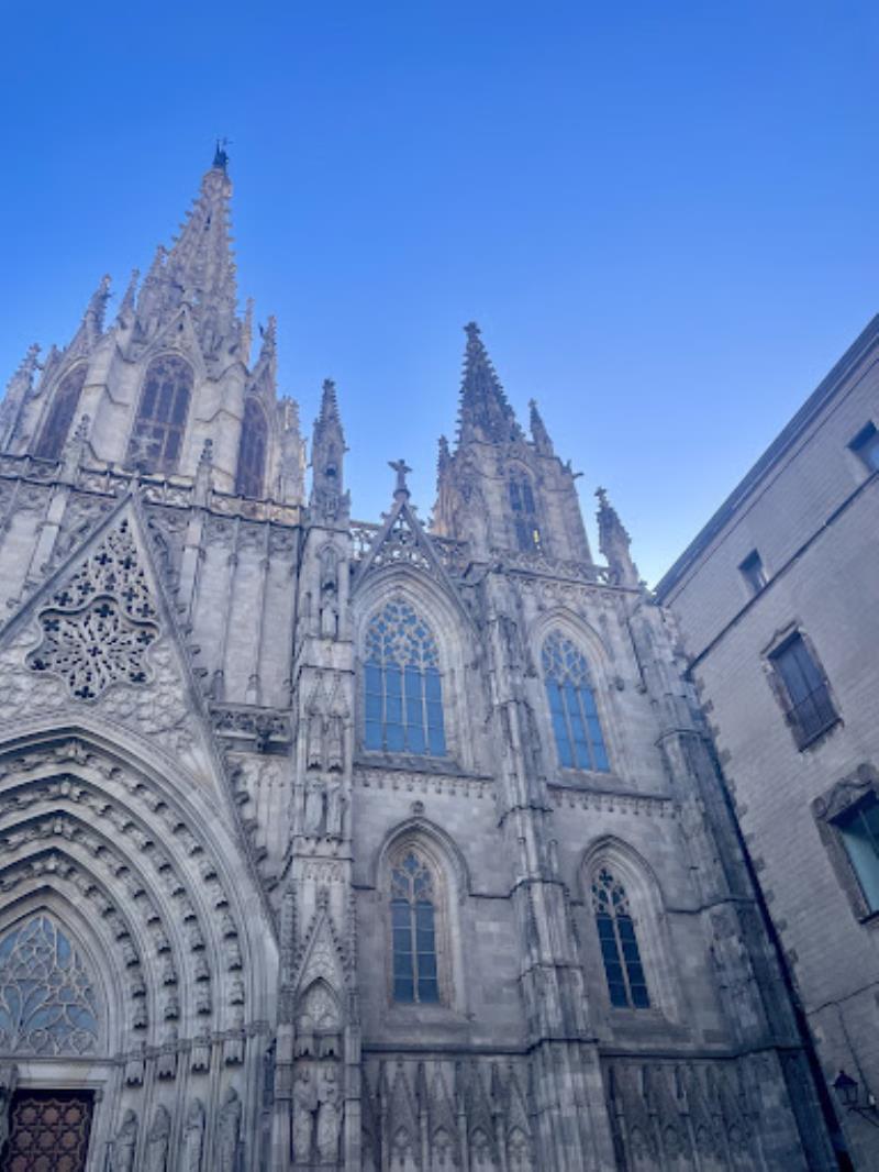 Runner Bean Tours Barcelona