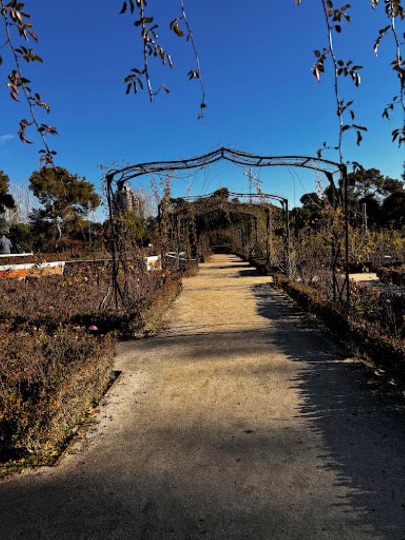 Rose Garden